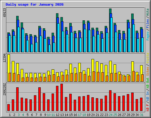 Daily usage for January 2026