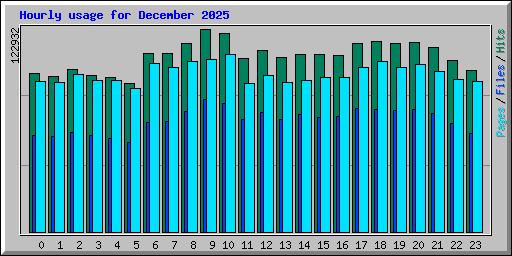Hourly usage for December 2025