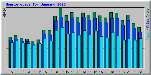 Hourly usage for January 2026